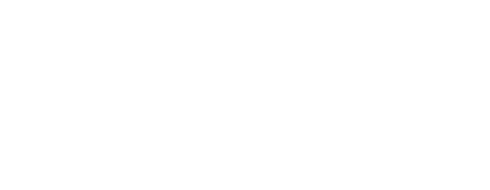 in-Lire